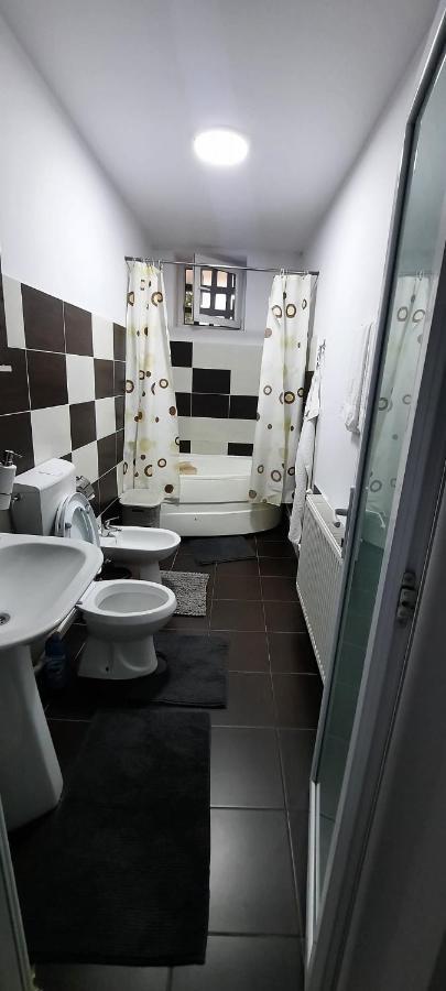 Apartament La Denis Bîrlad المظهر الخارجي الصورة